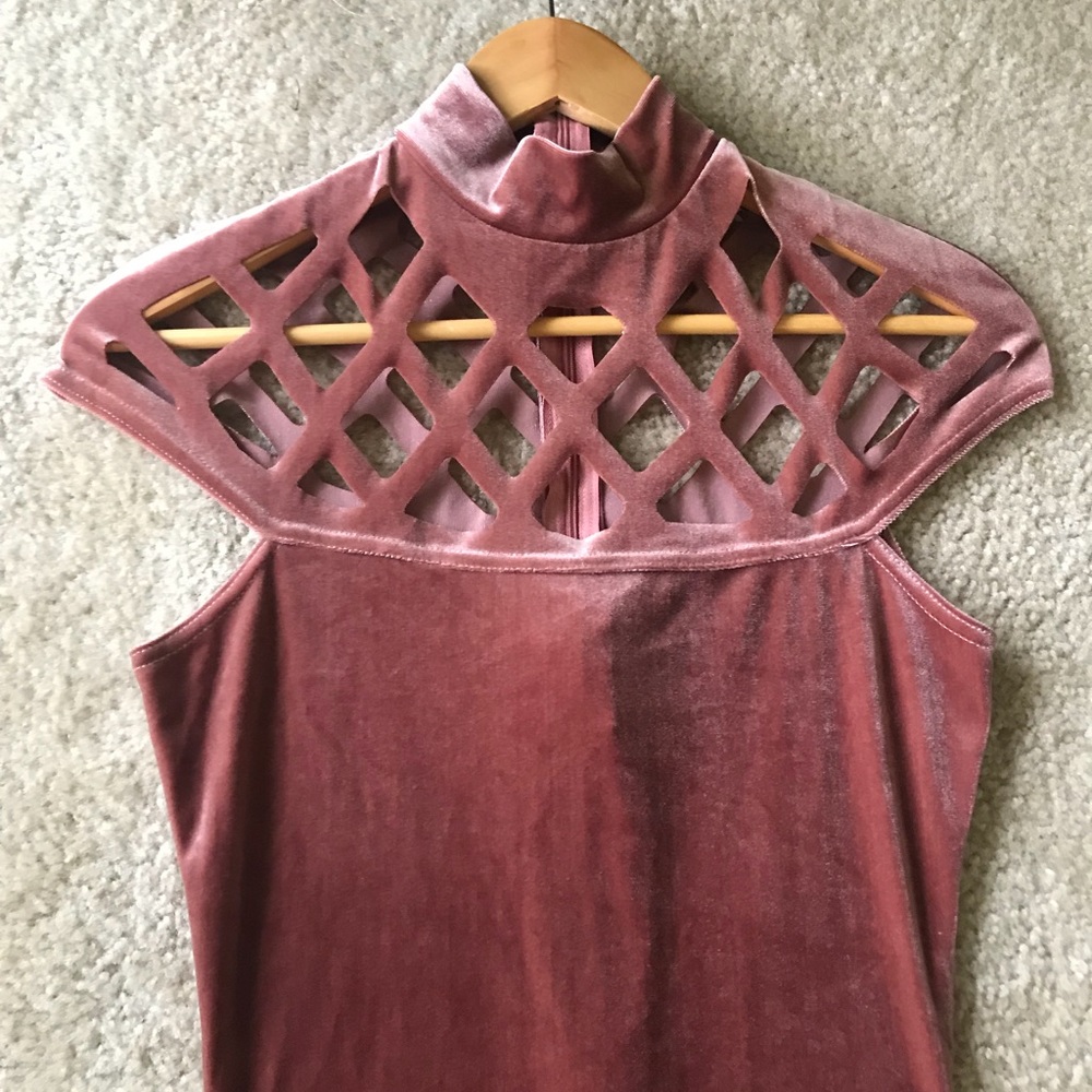 Velvet Rose Dress